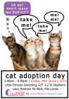 20100117-HKACW-Adoption-Web.jpg