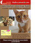 HomingweekendMarch08.jpg