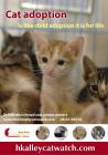 ad4adoptflyergingkitten.jpg