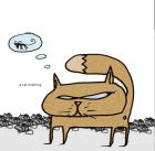 9cameroncat.jpg